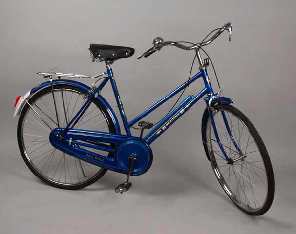 Ladies Step-Through Frame Roadster Bicycle