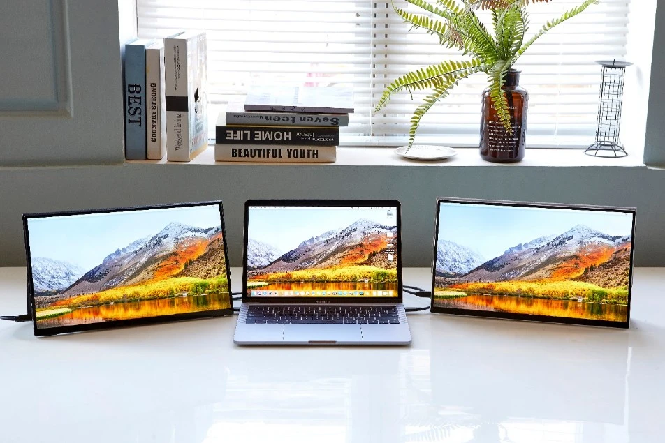 Limited Edition - 4K Ultra Narrow Bezel Compact Monitor - Image 2
