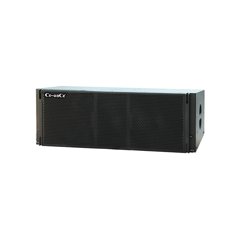 Dual 12-Inch Full-Range Line Array Speaker System