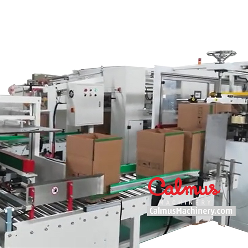 Lined Carton Bag in Box Forming Line - Carton Erector and Liner Placer - Image 3