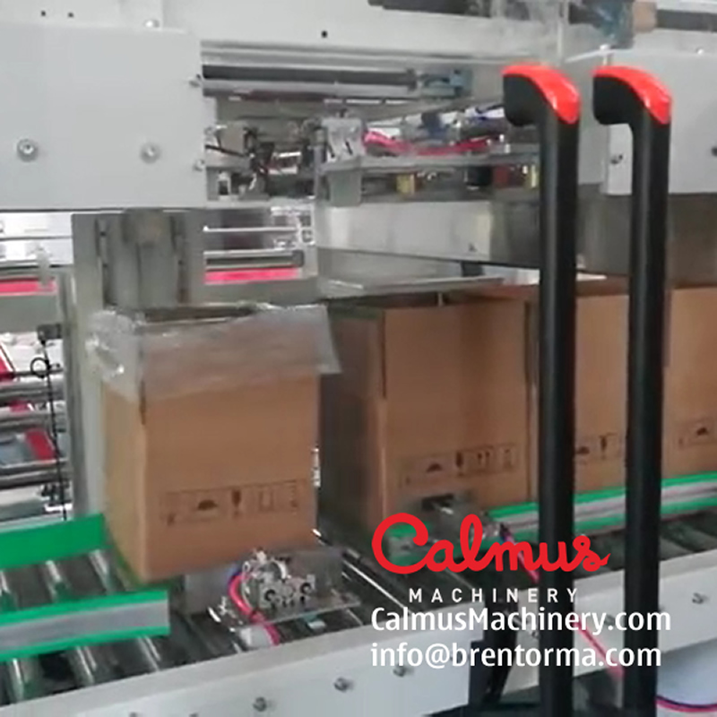Lined Carton Bag in Box Forming Line - Carton Erector and Liner Placer - Image 2