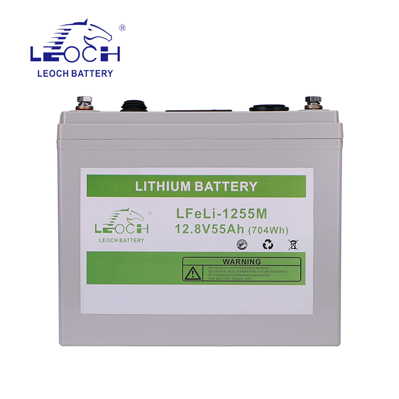 Lithium Battery LFeli-1255M - Image 3