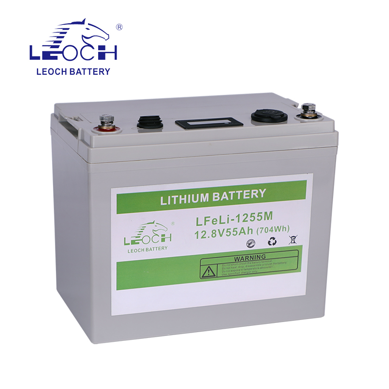 Lithium Battery LFeli-1255M - Image 2