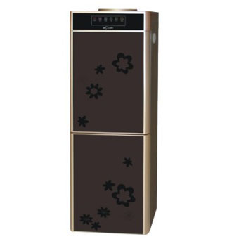 Hot and Cold Water Dispenser with Dual Taps