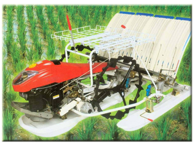 Rice Seedling Transplanter