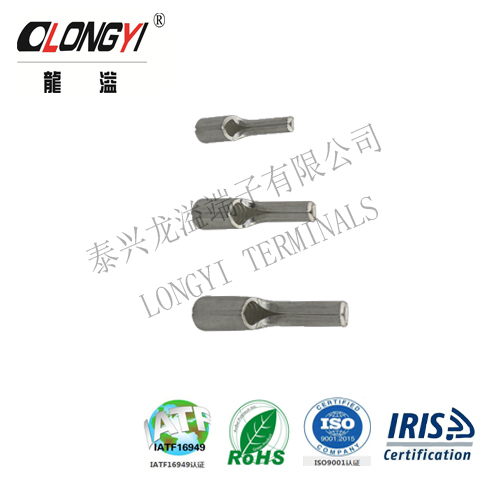 Longyi Copper Compression Lug/Cable Lug/Terminal Lug Type for Double Hole Cable - Image 2