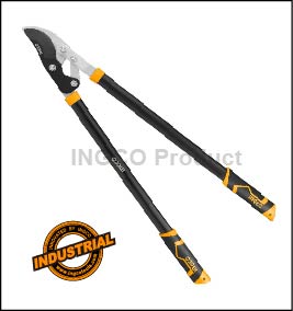 Long Reach Lopper for Pruning