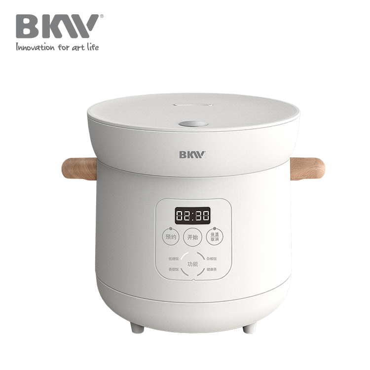 Low Sugar Rice Cooker RC100A12-D02 - Image 3
