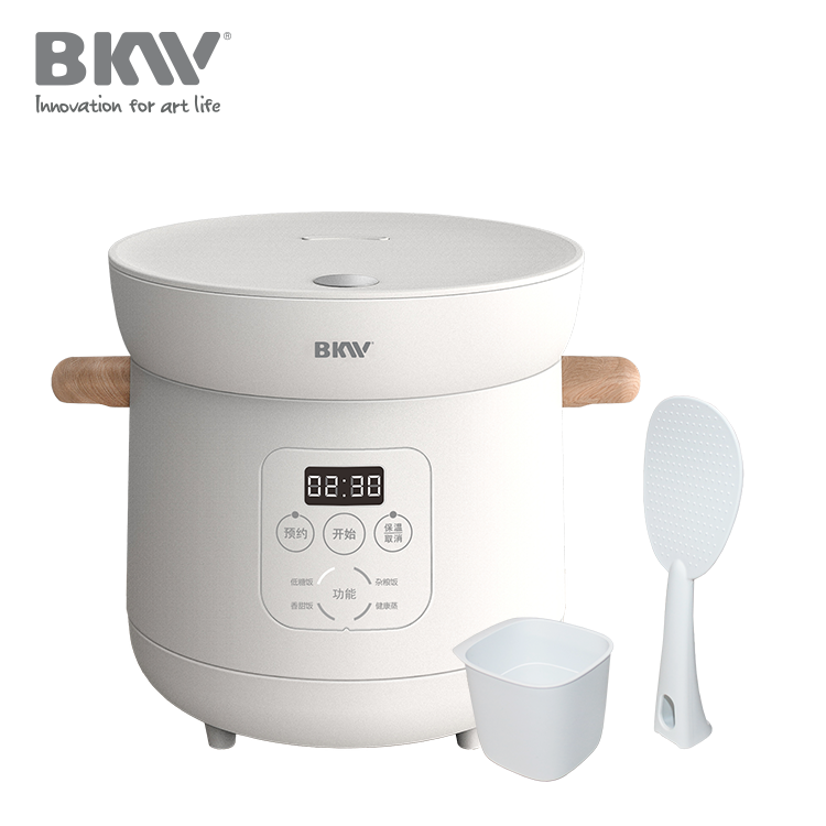 Low Sugar Rice Cooker RC100A12-D02 - Image 2