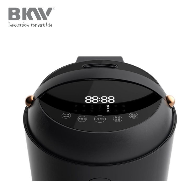 Low Sugar Rice Cooker RC100B20-B04 - Image 3
