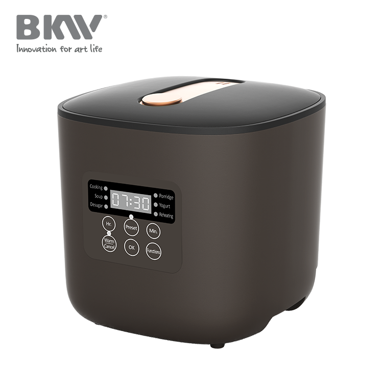 Low Sugar Rice Cooker RC100F16-D02 - Image 2