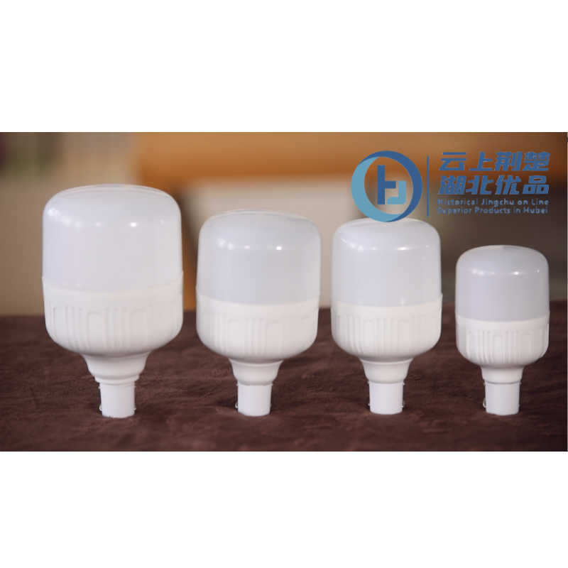 Low-voltage recharging mobile light - Image 2