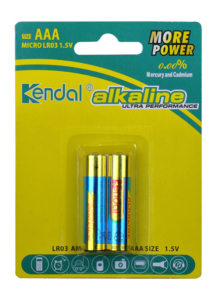 Lr03 Alkaline Battery AAA Battery Manufacturers Dry Cell Batteries Forehead and Ear Thermo - Image 3