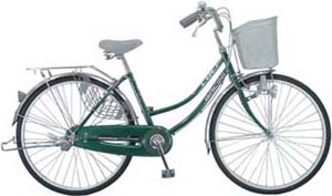 Step-Through City Bicycle