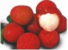 Fruit and Vegetable Washing Equipment