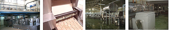 Food and Beverage Processing Line