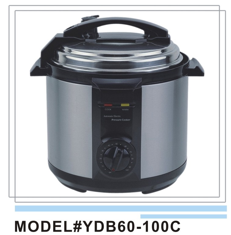 Electric Pressure Cooker for Food and Beverage Processing