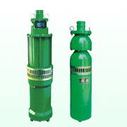 Submersible Pump for Food and Beverage Processing