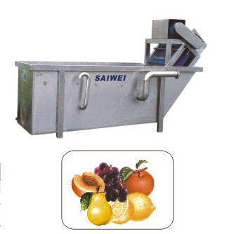 Fruit and Vegetable Washing and Processing Line