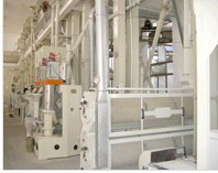 Food and Beverage Processing Line