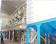 Food and Beverage Processing Line