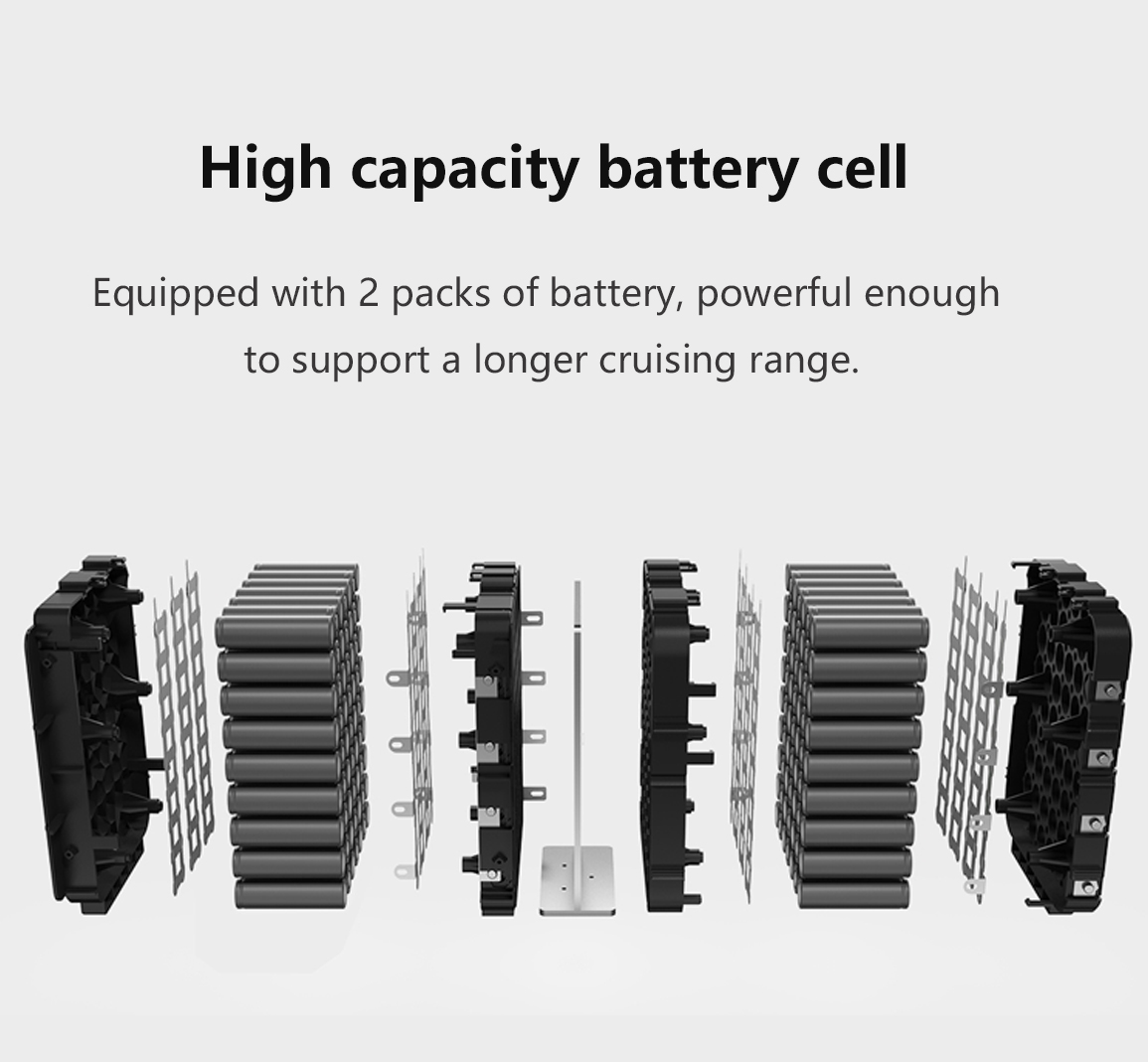 Dual lithium battery packs