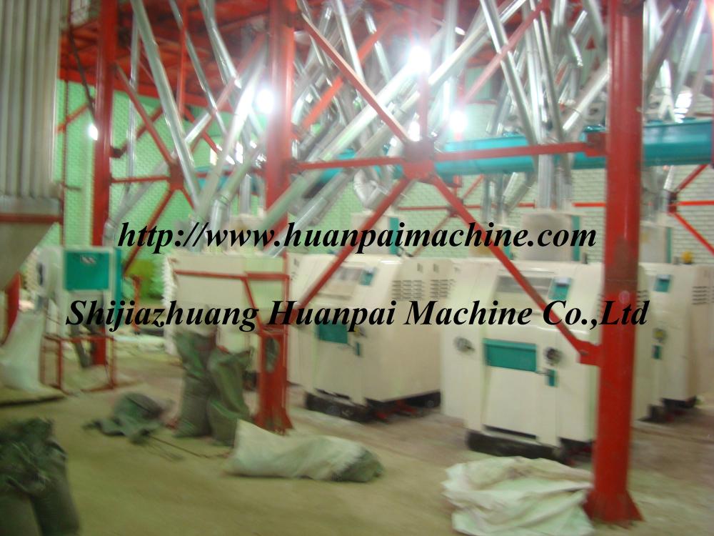 maize processing line,maize processing machine - Image 4