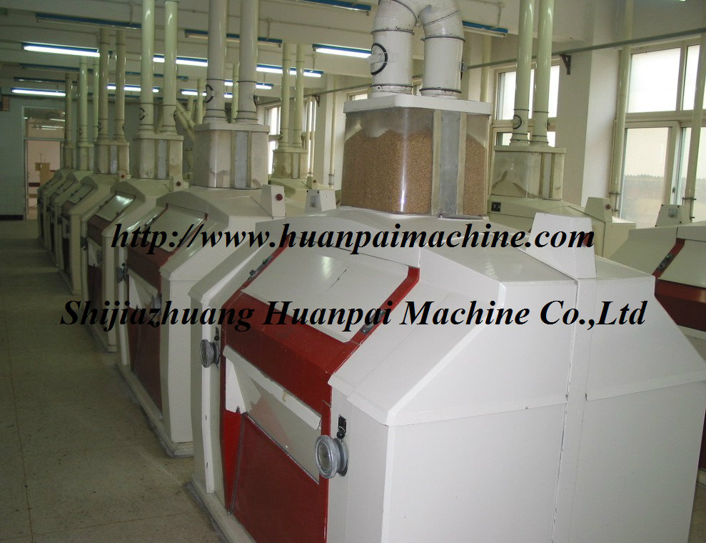 maize processing line,maize processing machine - Image 3