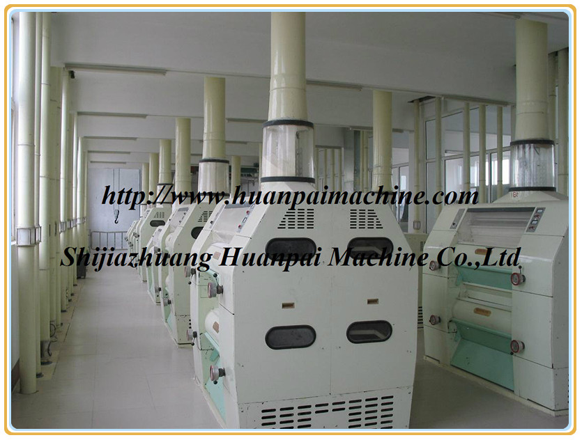 Maize Processing Line 5T-500T/24H