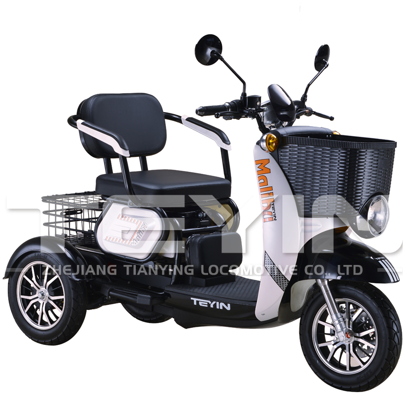 Electric Tricycle Scooter with Baskets