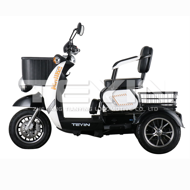 Electric tricycle showing the storage baskets