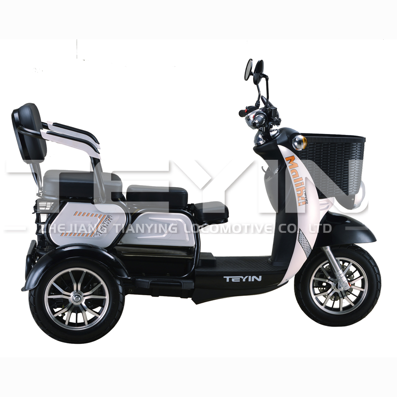 Side profile of the electric tricycle showing the frame and seat