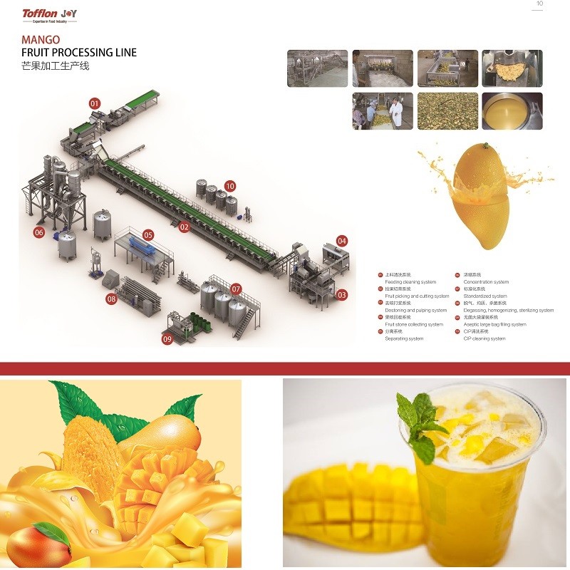 Mango Processing Line - Image 3