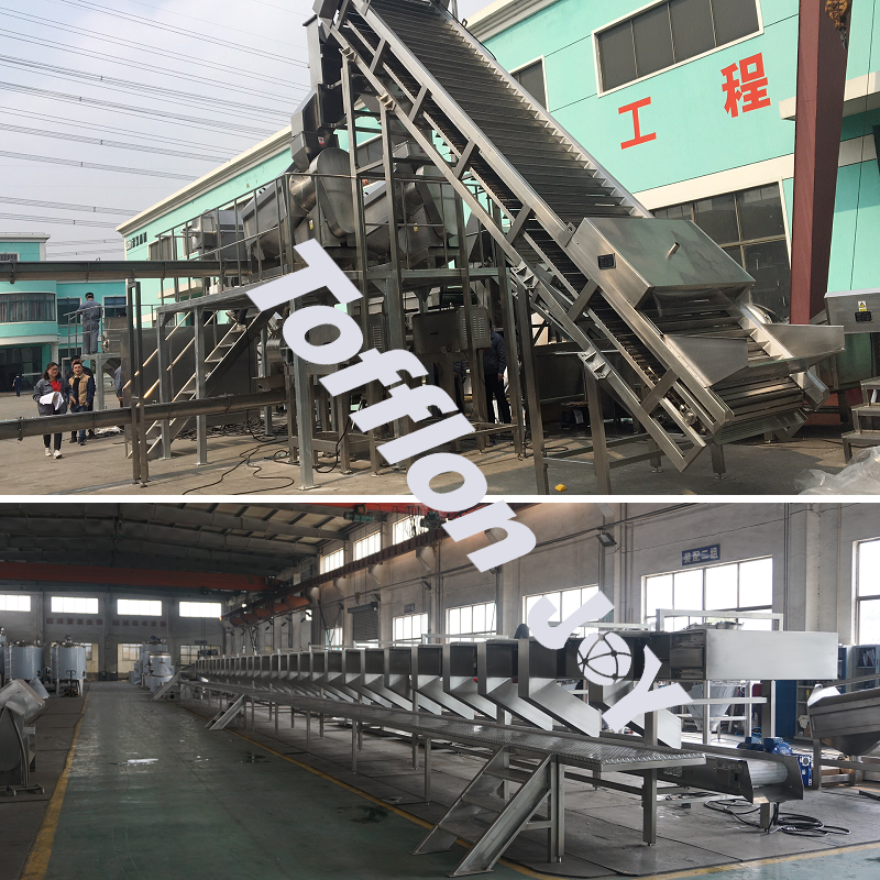 Mango Processing Line - Image 2