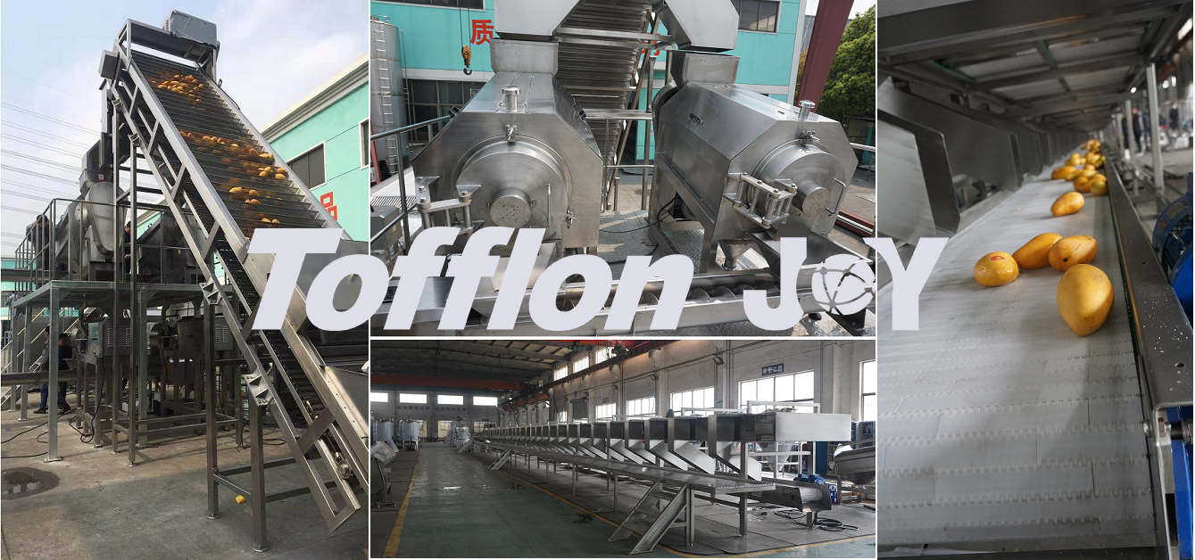 Mango and pineapple processing line machinery overview