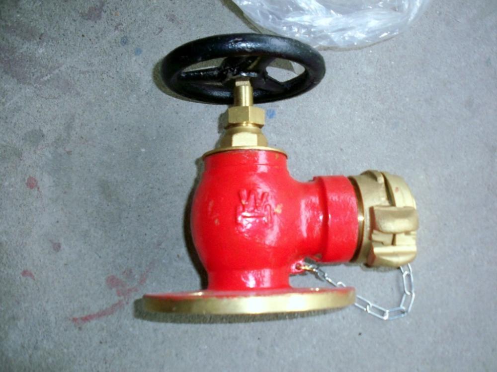 Marine Hose Valve with Chained Cap