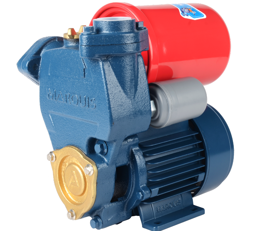 Automatic Self-Priming Peripheral Water Pump