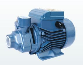 End-Suction Peripheral Water Pump