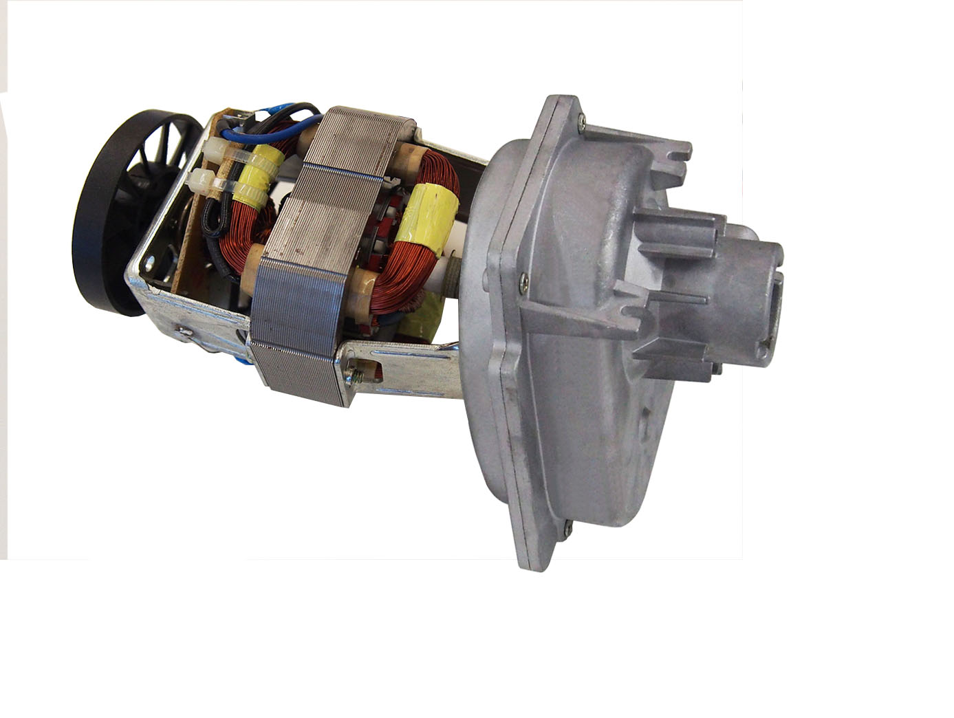 Meat mincer Motor / Gearboxes - Image 2
