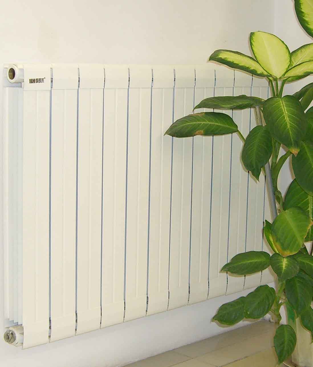 Multi-Section Radiator for Heating Systems