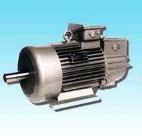 Metallurgical AC Motor