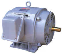 Electric Motor for Industrial Machinery