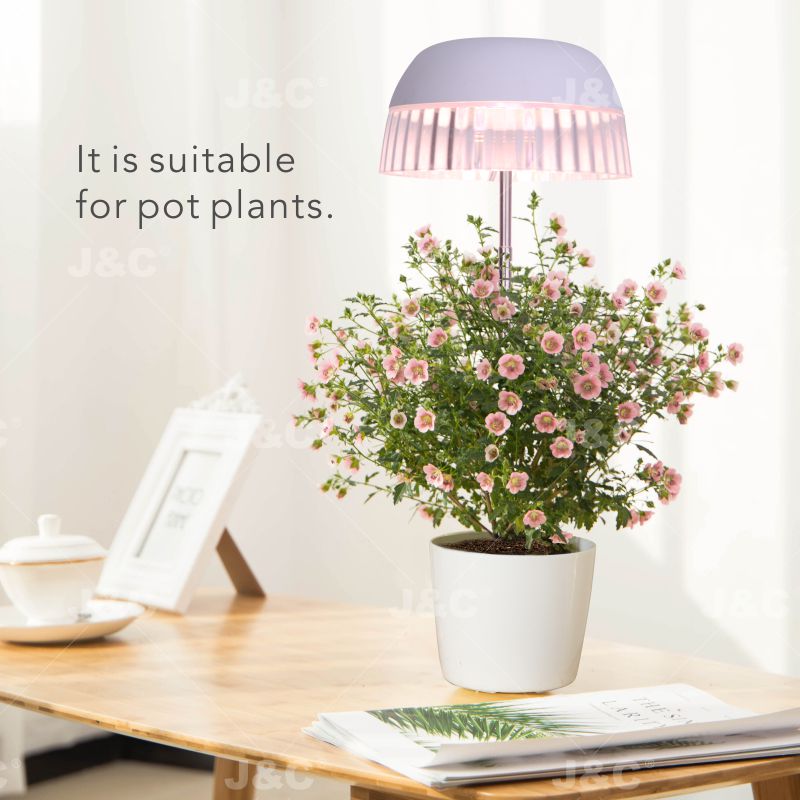 MG-TG-004 USB grow light USB charging height adjustable simple design transparent skirt design stylish light effect anti-glaring indoor decoration big pot grow led - Image 2