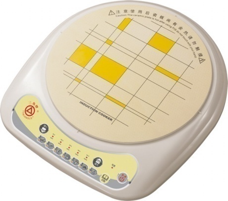 Compact Ceramic Induction Cooker