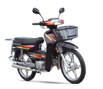 Step-Through Motorcycle