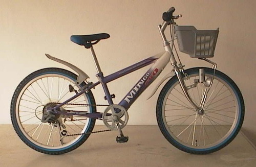 Step-Through Frame Bicycle with Basket