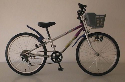 Off-Road Mountain Bicycle with Basket
