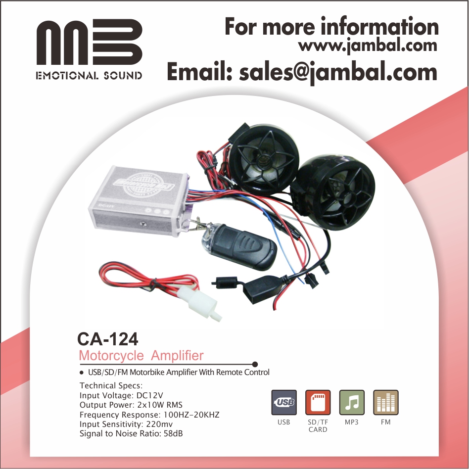 MINI AMPLIFIER - Image 2