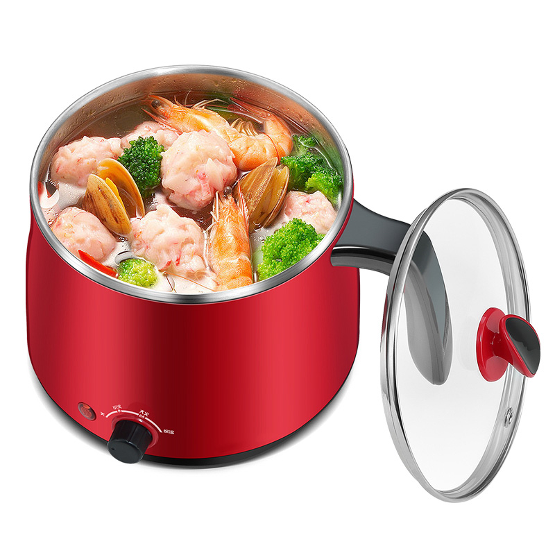 Mini Multi-Function Electric Cooker with Steamer