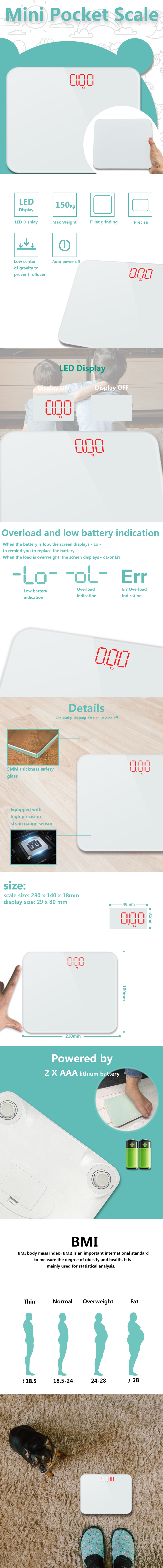 Detailed technical diagram of the mini body scale showing dimensions and features